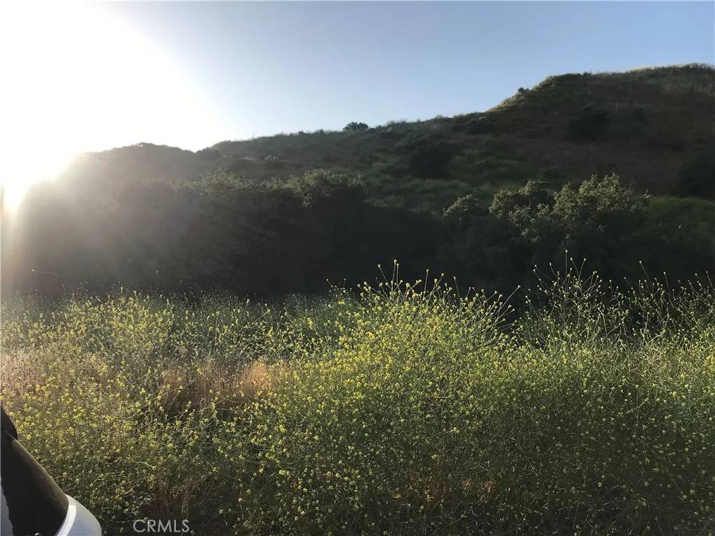Canyon Country, CA 91351,0 Vasquez Canyon