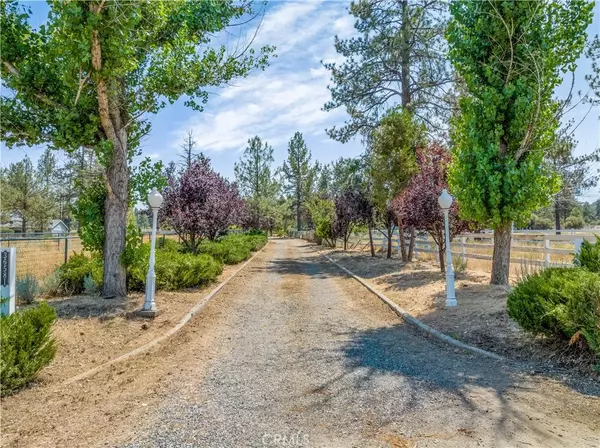 36581 Tool Box Springs Road, Mountain Center, CA 92561