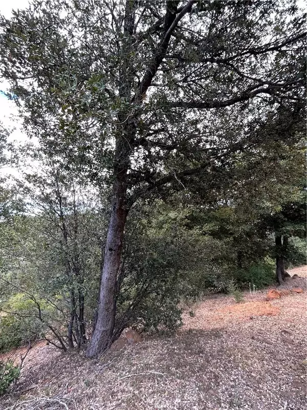 Julian, CA 92036,0 Julian Estates