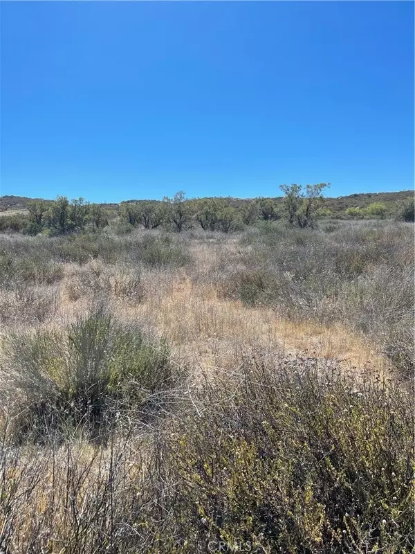 Hemet, CA 92544,21 Stier