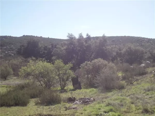 Hemet, CA 92544,53 Willow Canyon
