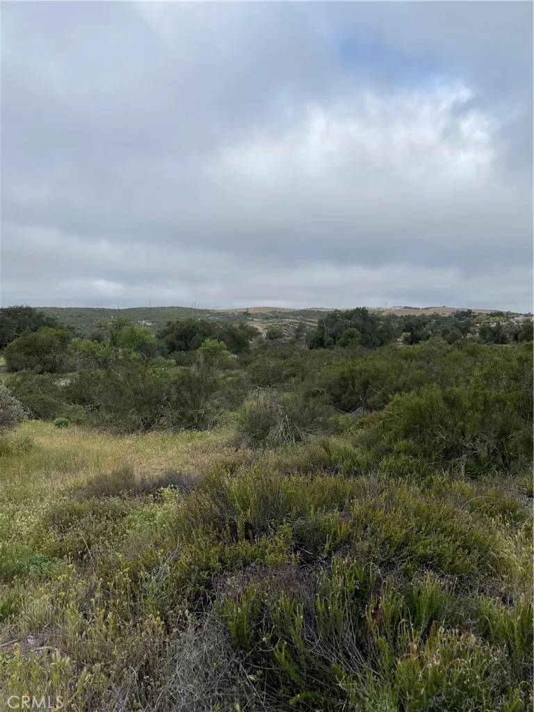 Hemet, CA 92544,44 Sable