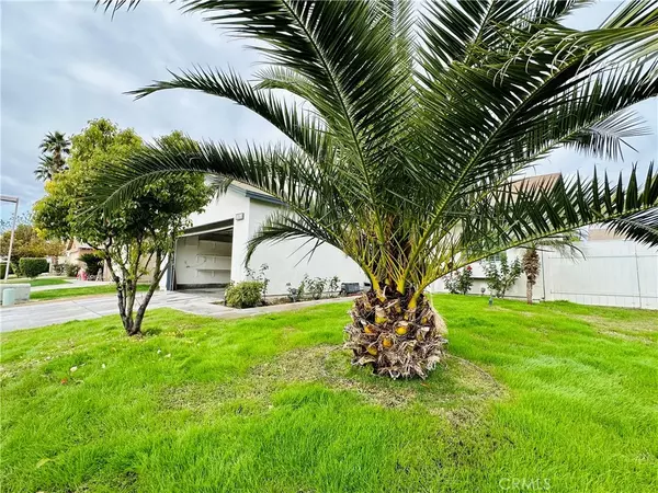 Indio, CA 92201,47800 Madison Street #153