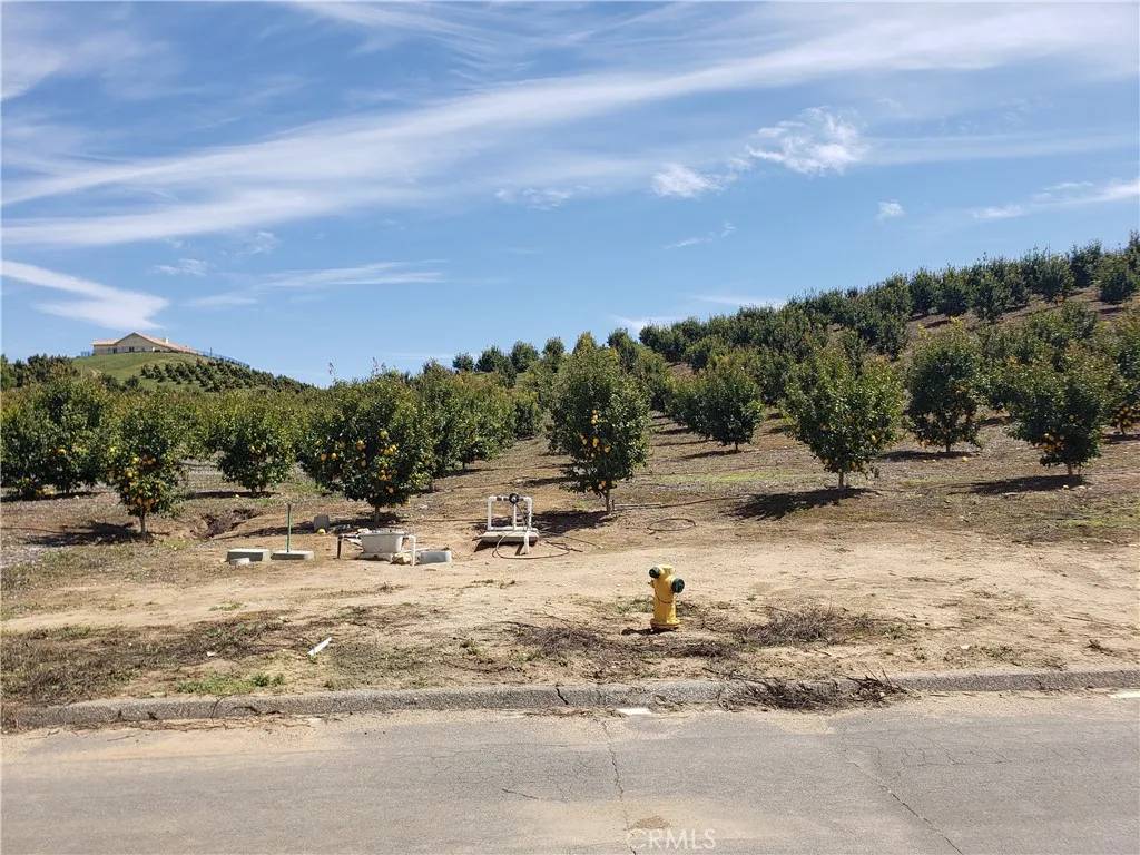 Temecula, CA 92590,7 Calle Jardin