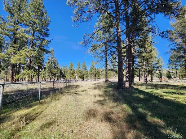 Mountain Center, CA 92561,59250 Tunnel Spring