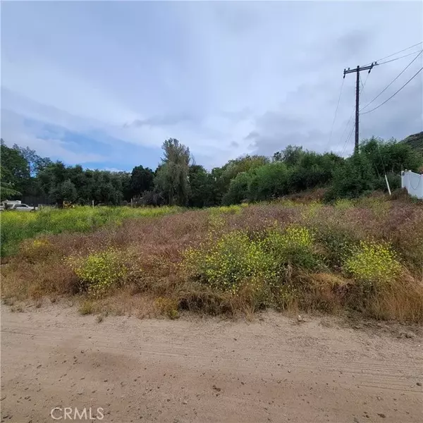 Wildomar, CA 92532,100 Acacia