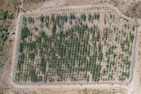 43900 Highway 79, Aguanga, CA 92536