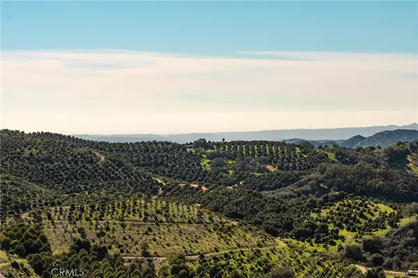 Temecula, CA 92590,4 Calle Uva