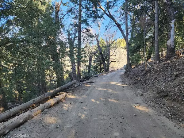 Palomar Mountain, CA 92060,33637 Cold Springs Trail