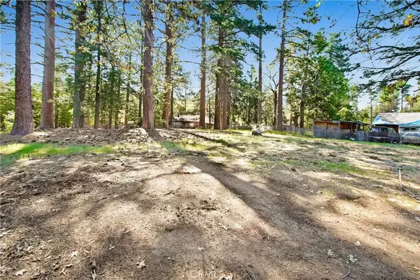 Idyllwild, CA 92548,0 Pine Ridge