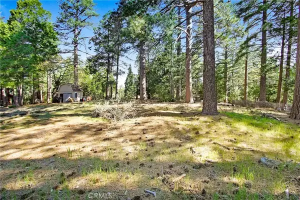 Idyllwild, CA 92548,0 Pine Ridge