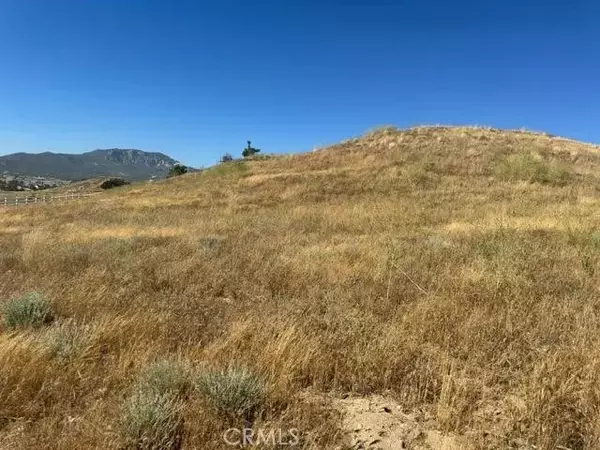 Aguanga, CA 92536,0 Blossom