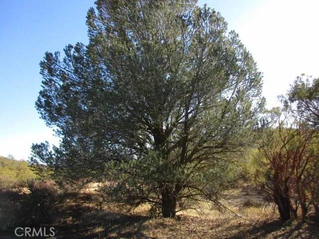 Anza, CA 92539,56660 Knollwood