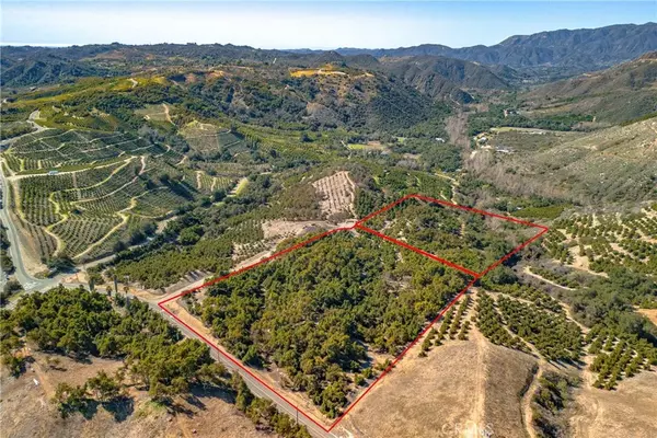 Temecula, CA 92590,0 Camaron