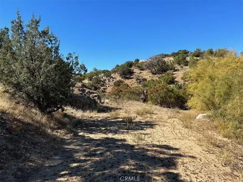 33 Broken Wheel, Anza, CA 92539