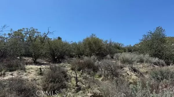 Anza, CA 92539,0 Bogota rd