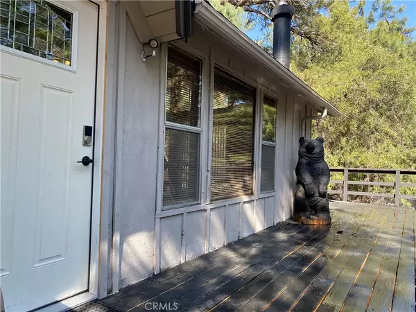 Idyllwild, CA 92549,25300 Marion Ridge Drive