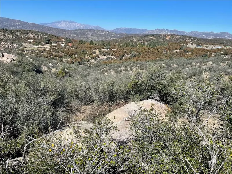 40635 Tweedie, Anza, CA 92539