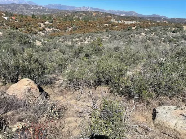 Anza, CA 92539,40635 Tweedie