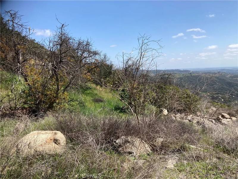 3 Daneri, Temecula, CA 92590