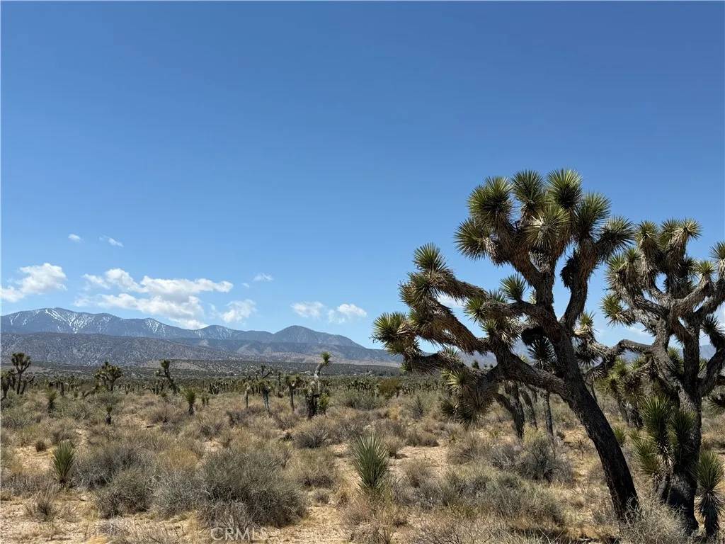 0 Ave Y8 & 233rd St E, Llano, CA 93544