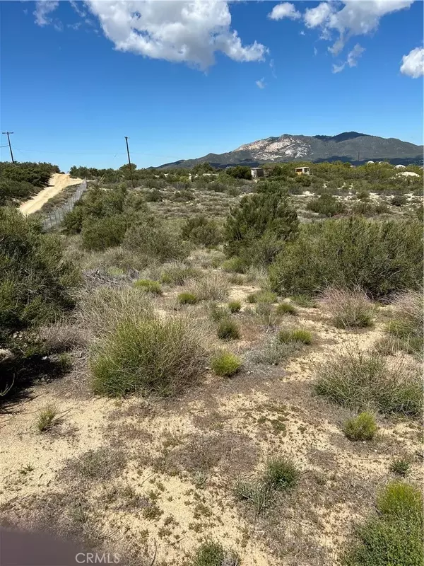 Anza, CA 92539,0 Scouts