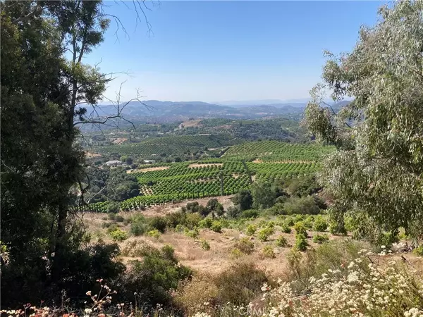 Temecula, CA 92590,37 El Calamar