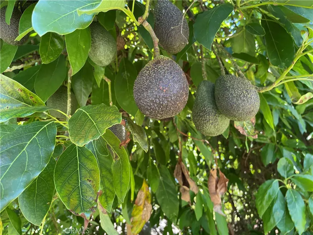 Temecula, CA 92590,3 Los Gatos