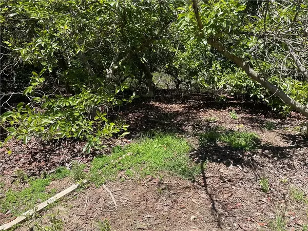 Temecula, CA 92590,4 Los Gatos