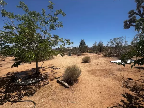 Yucca Valley, CA 92284,1489 Balsa Avenue