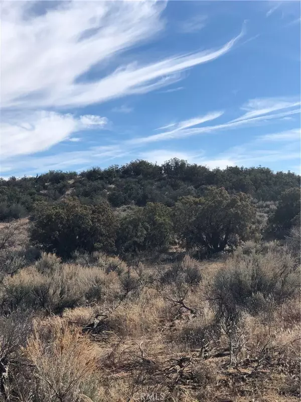 Anza, CA 92539,0 Ramsey