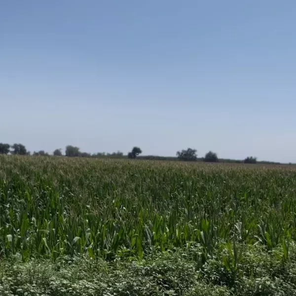 Hanford, CA 93230,12837 Douglas