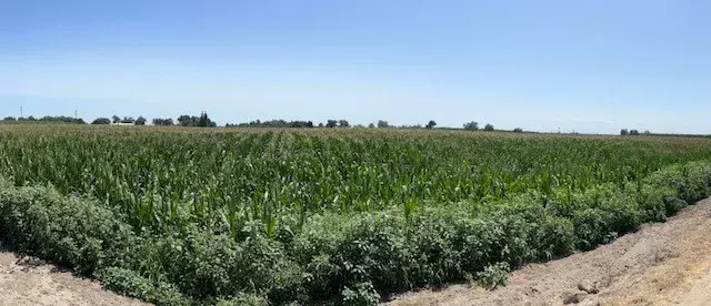 Hanford, CA 93230,12837 Douglas