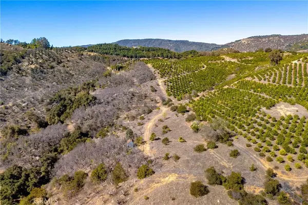 Temecula, CA 92590,34 Los Gatos