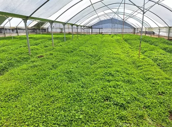 Anza, CA 92539,41790 Jay Dee Lane