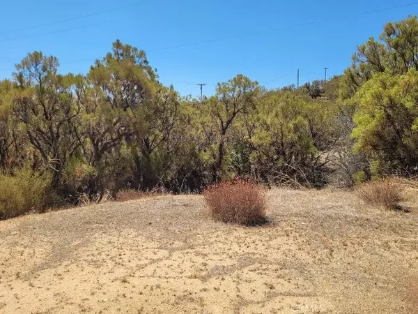 Anza, CA 92539,0 Terwilliger Road