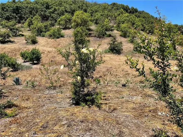 Temecula, CA 92590,2 Via Vaquero