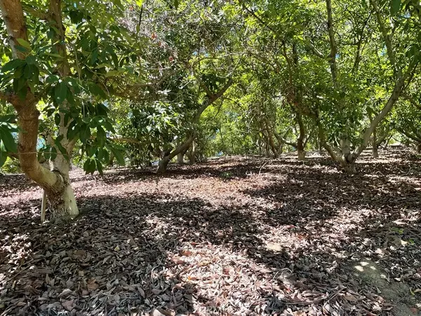 Temecula, CA 92590,2 Via Vaquero
