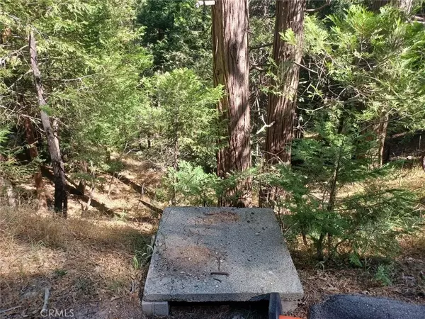 Twin Peaks, CA 92391,0 Club House