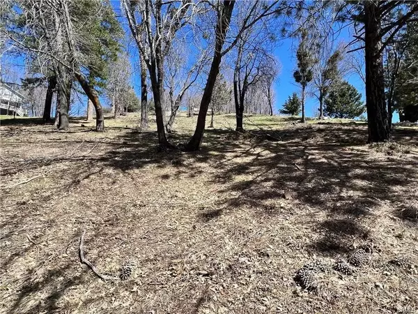 Running Springs, CA 92382,41 Fredalba