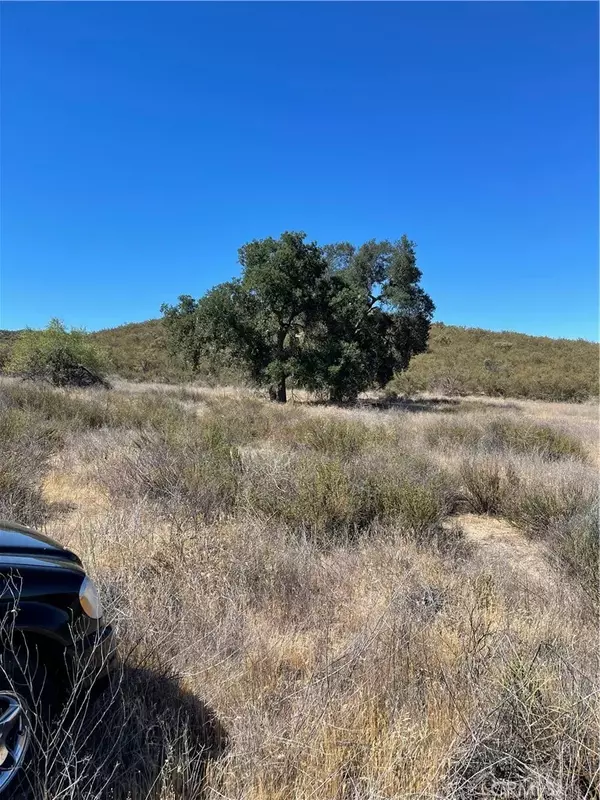 Hemet, CA 92544,21 Stier