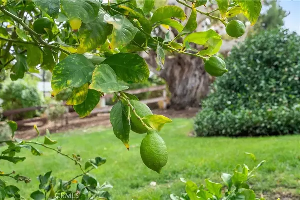 Temecula, CA 92591,41070 Avenida Verde