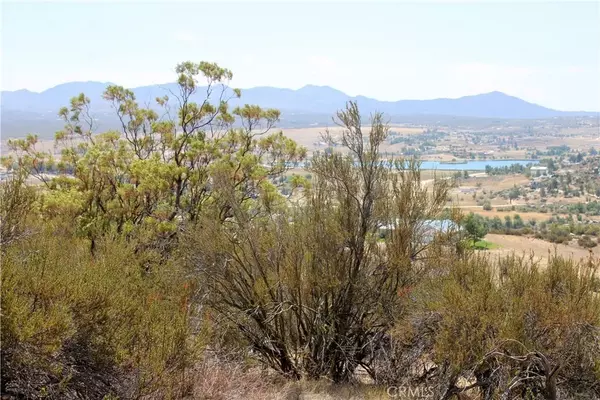 Aguanga, CA 92536,875 Lake Canyon