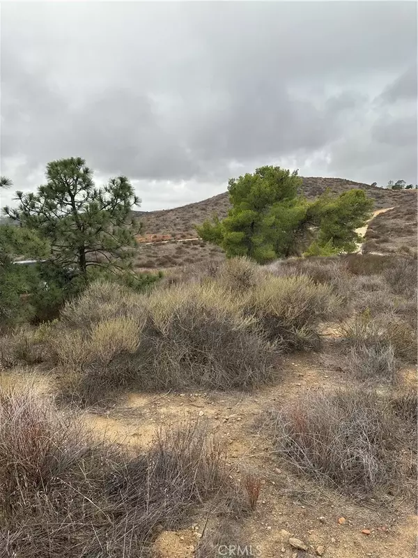 Hemet, CA 92544,0 Alexander