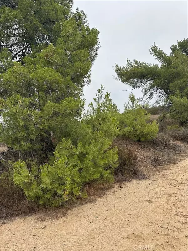 Hemet, CA 92544,0 Alexander