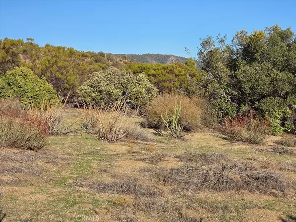 Anza, CA 92539,0 Mount Rd