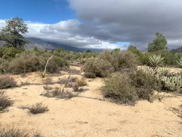 Mountain Center, CA 92561,368 Palm Canyon