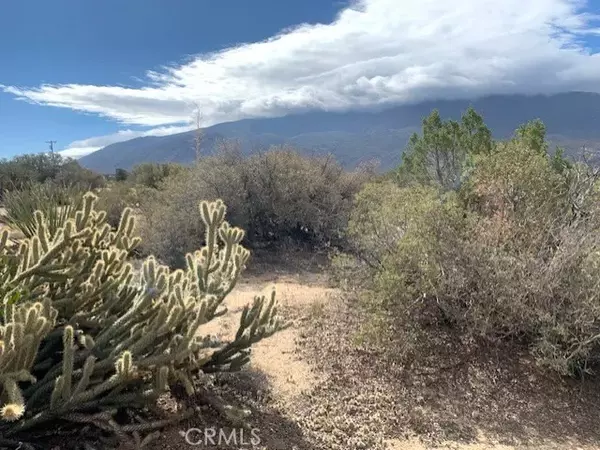 Mountain Center, CA 92561,368 Palm Canyon