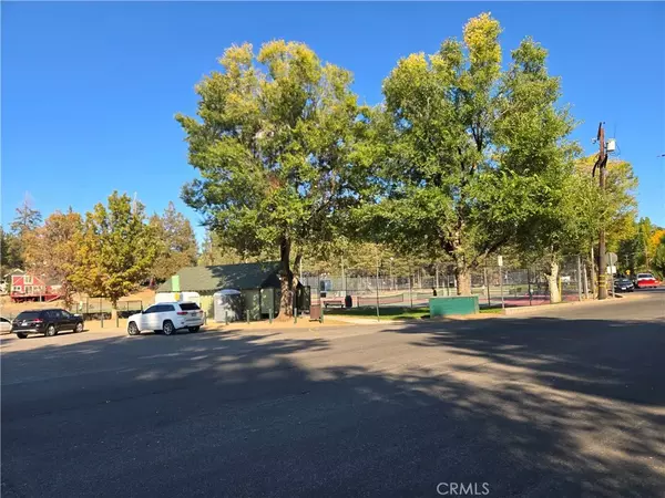 Big Bear Lake, CA 92315,41307 Park Avenue