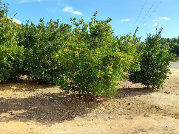 Temecula, CA 92590,3 Via Vaquero